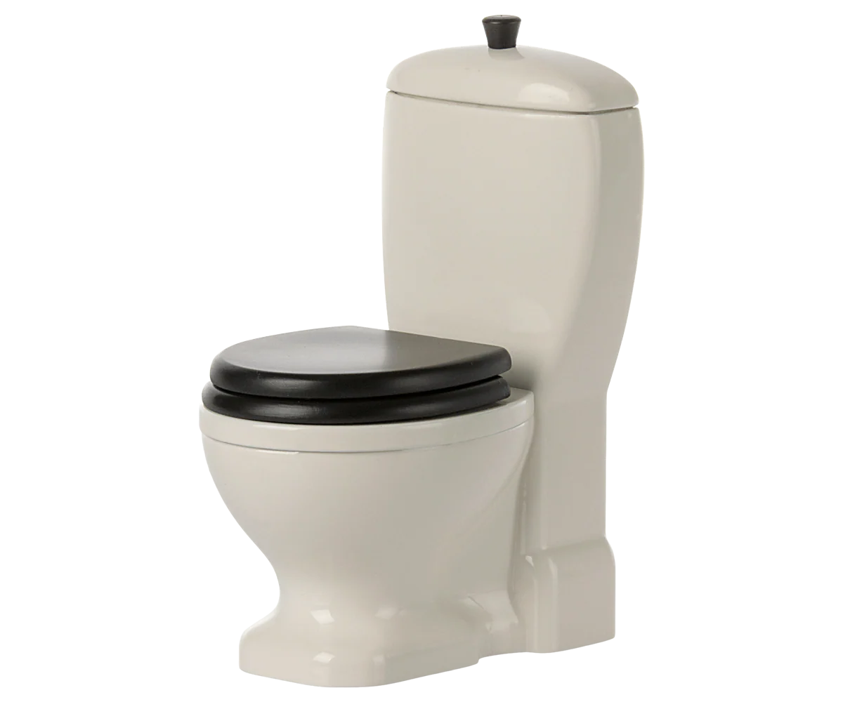 Miniature toilet