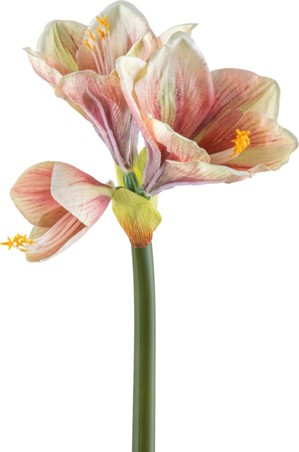 Amaryllis rosa real touch h 68 cm