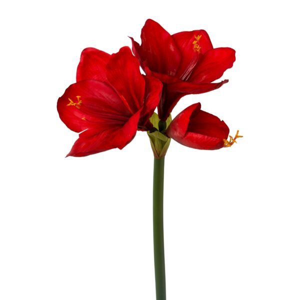 Amaryllis rød real touch h 68 cm