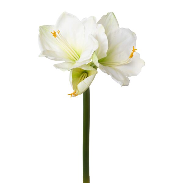 Amaryllis hvid real touch h 68 cm