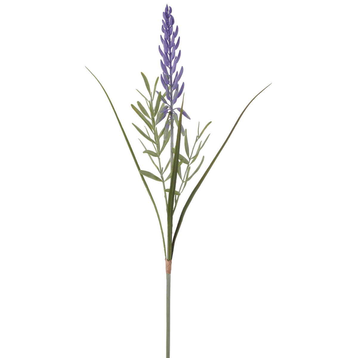 Lupin gren lavendel h 91cm