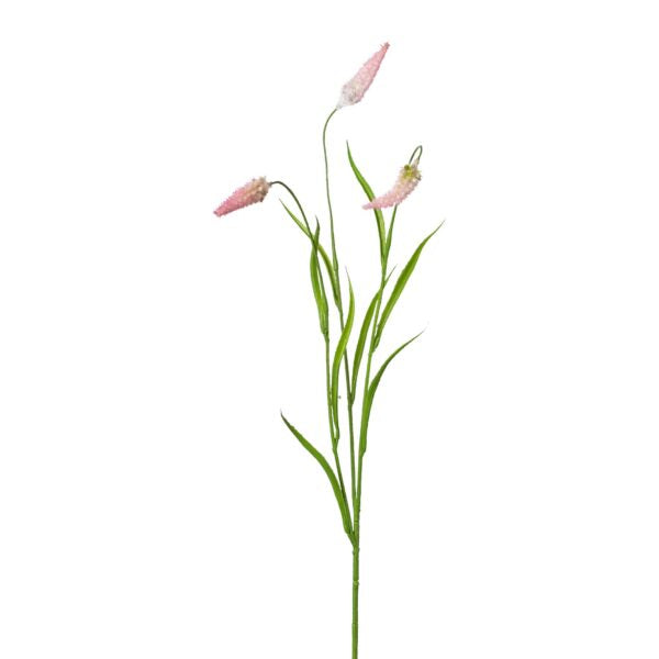 Rævehale græs m/rosa h 71 cm