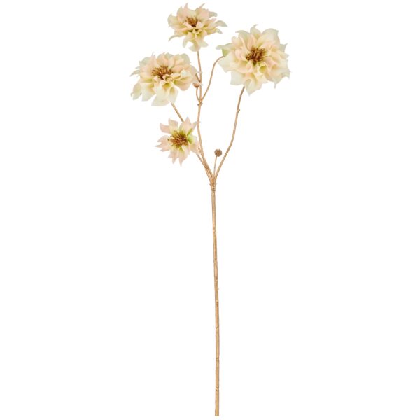 Julerose creme m/guld h 66 cm