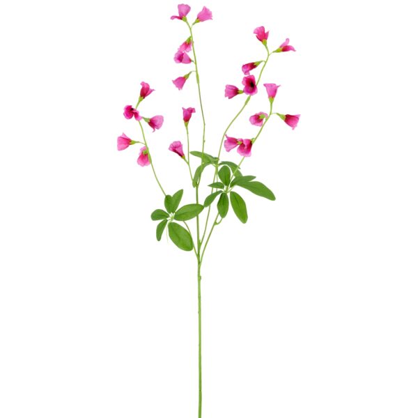 Klokkeblomst pink h 68cm