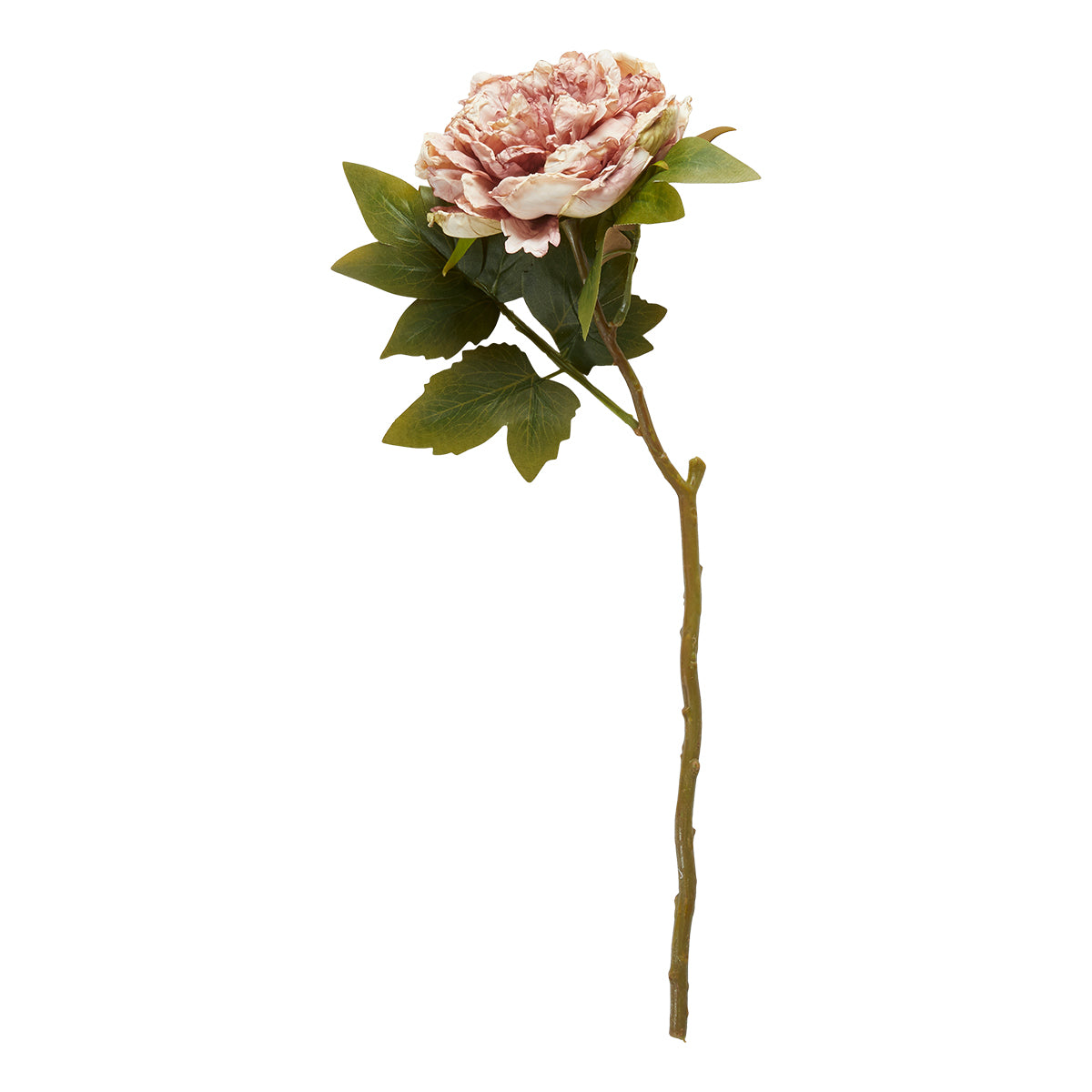 Pæon stilk H46cm- Rose
