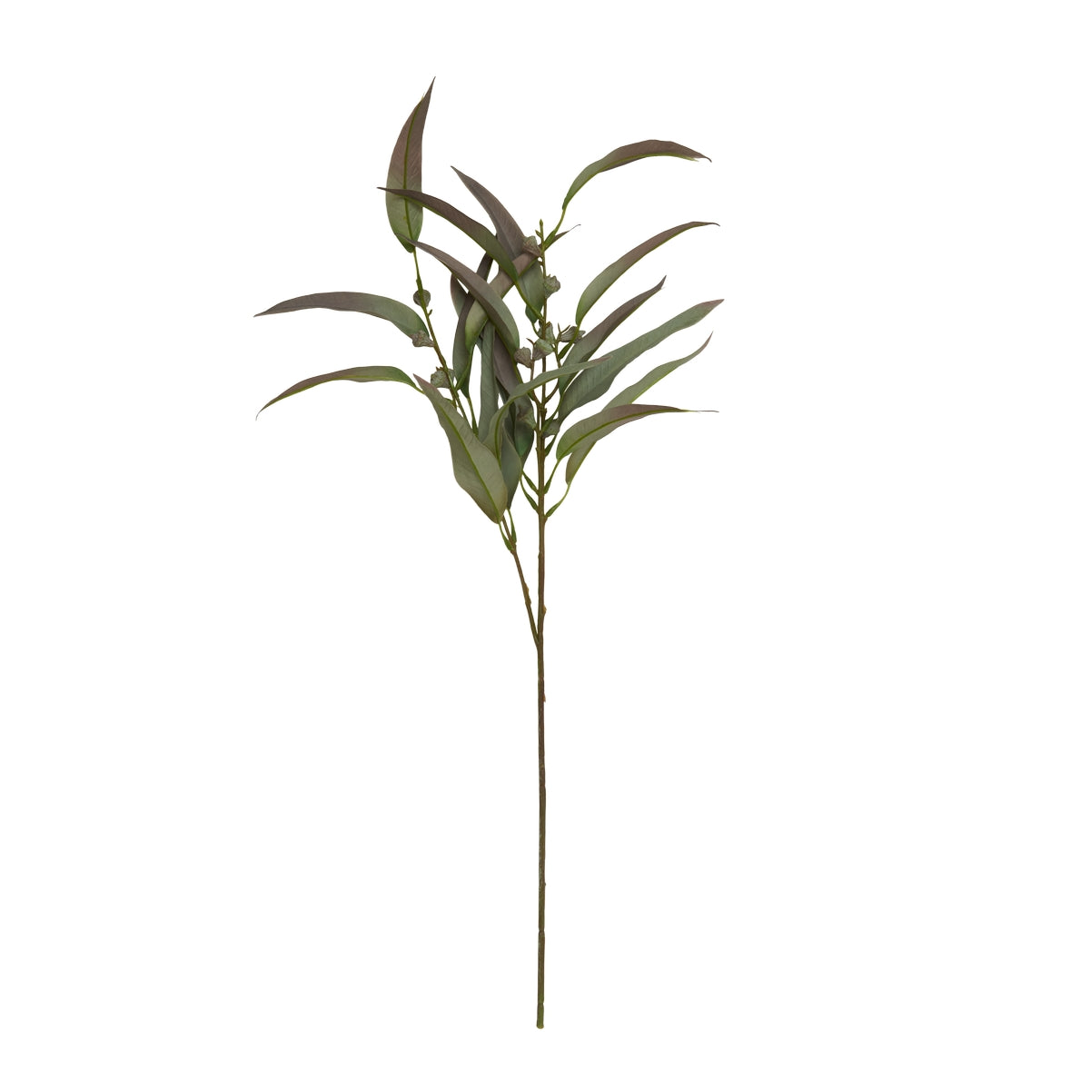 Eukalyptus stilk 70cm- Green
