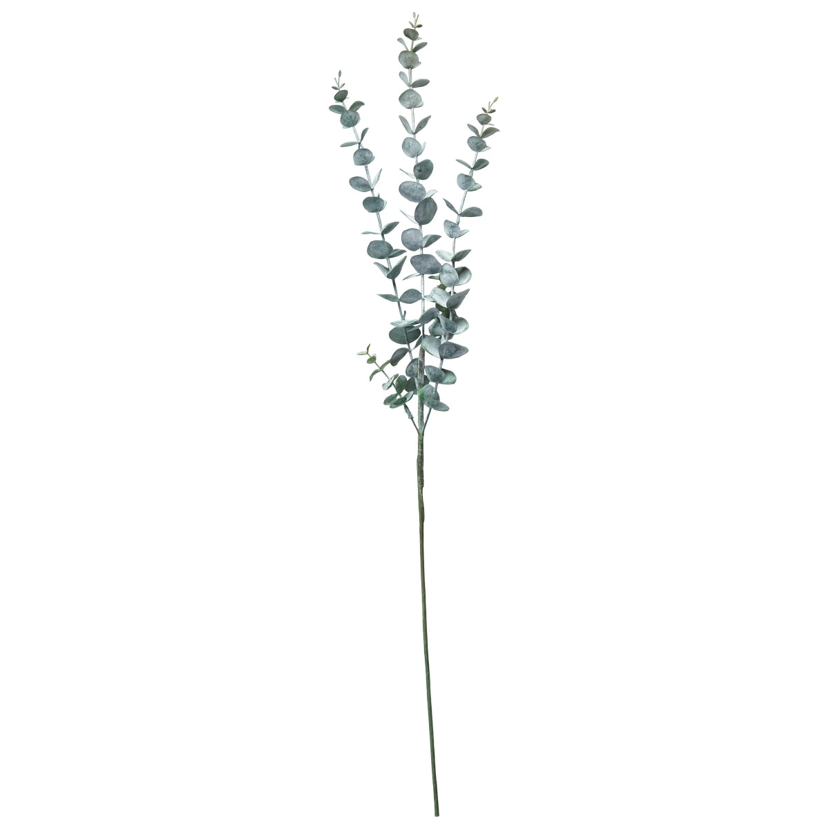 Eukalyptus stilk 76cm- Green