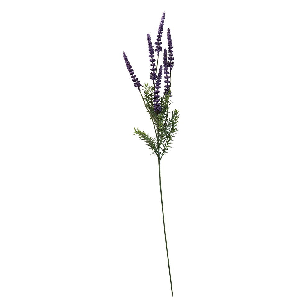 Lavendel stilk