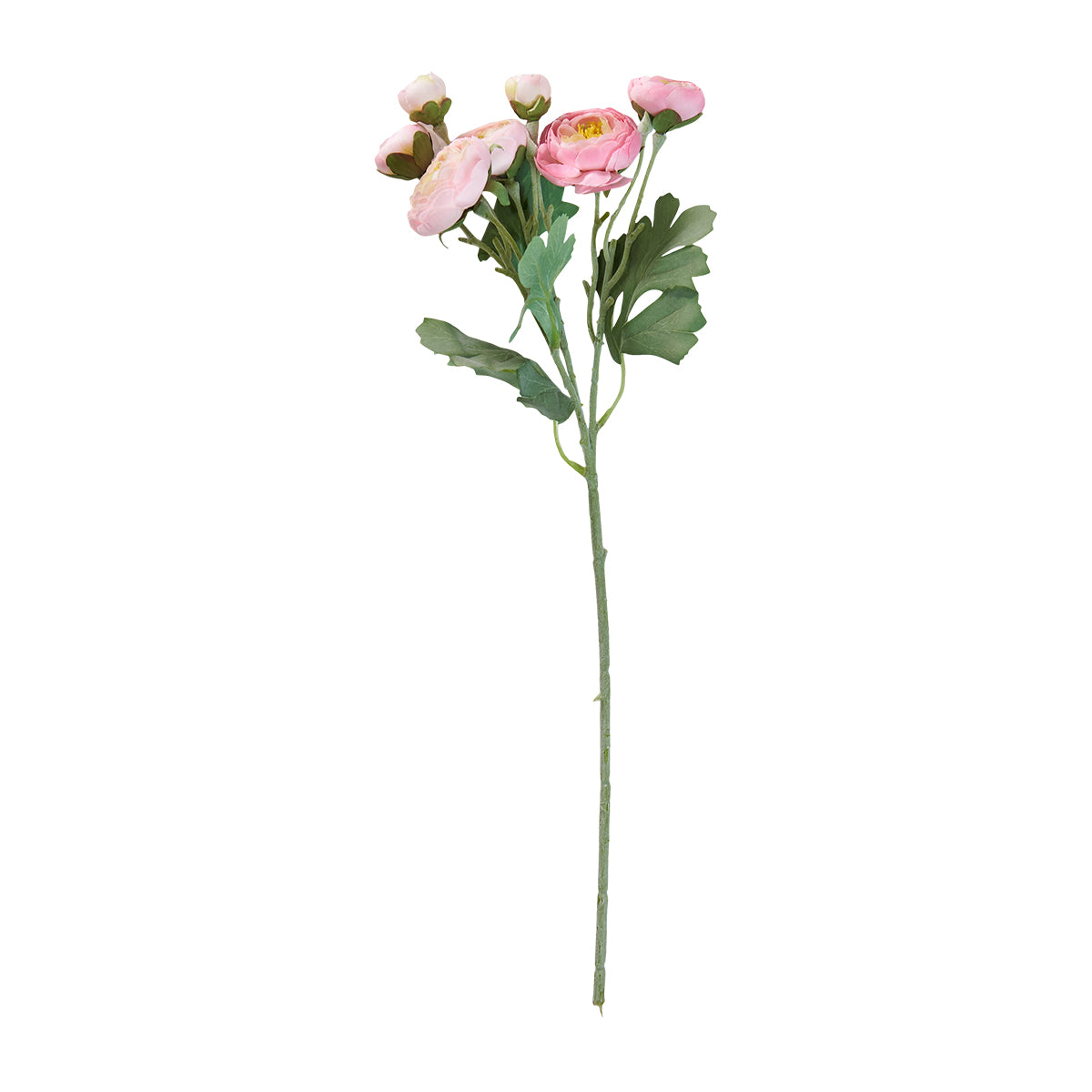 Ranunkel stilk 48cm-Rose