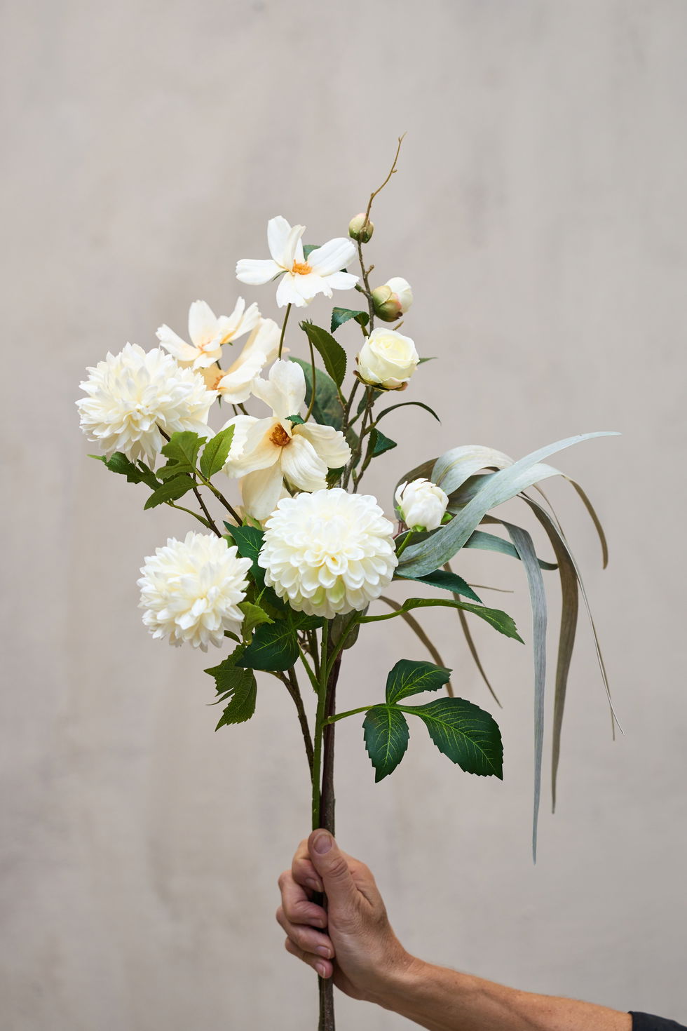 Krysantemum stilk