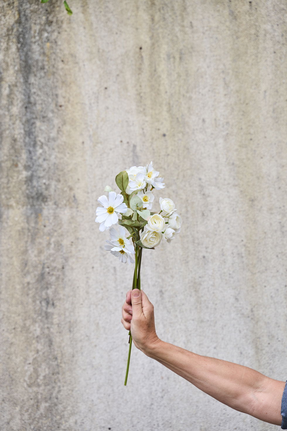 Blomst stilk