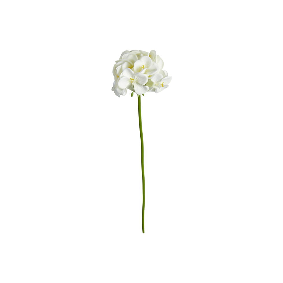 Blomst stilk