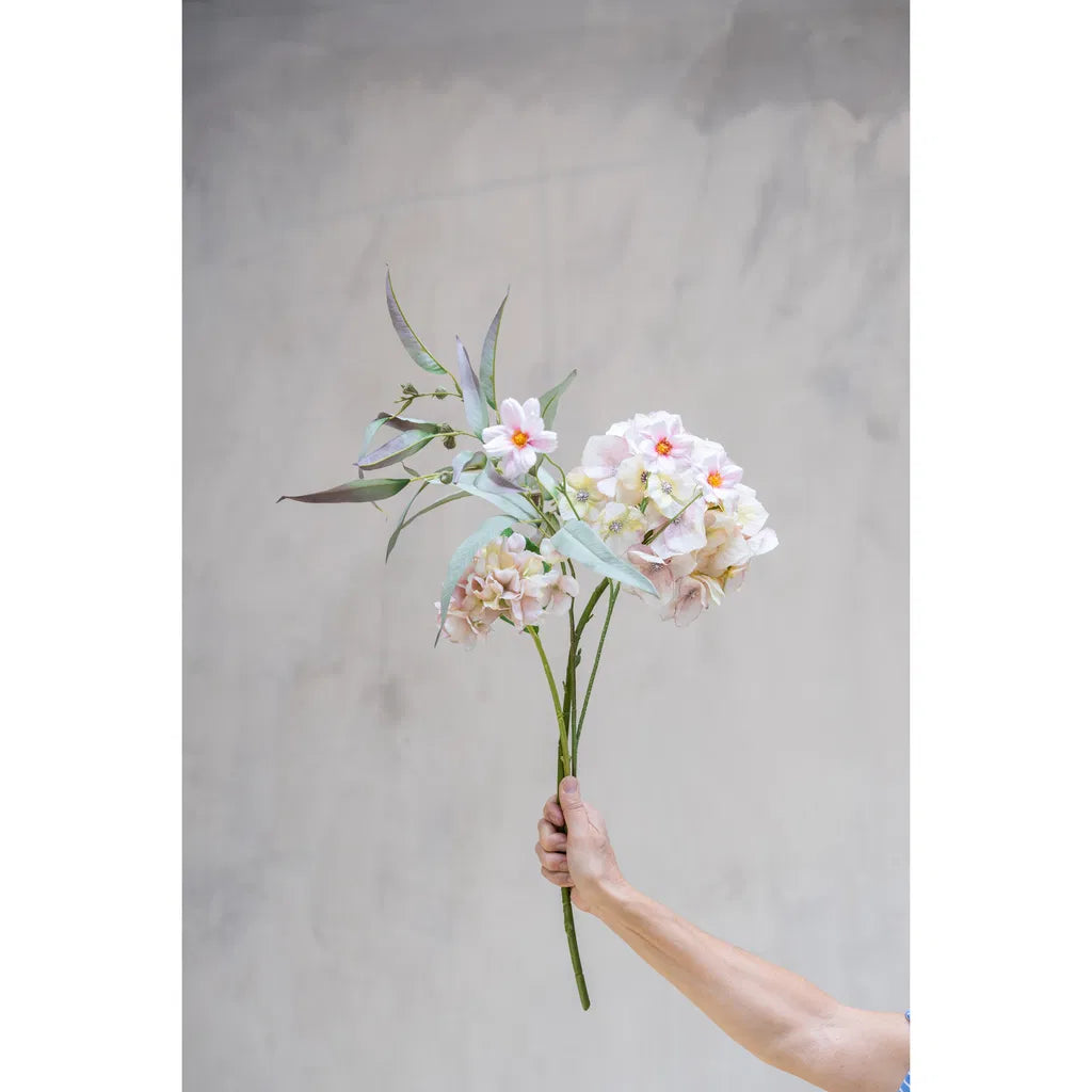 Stolt kavaler stilk 50cm