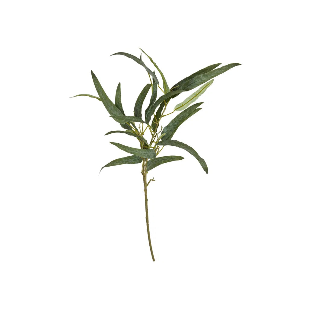 Eukalyptus stilk 85cm