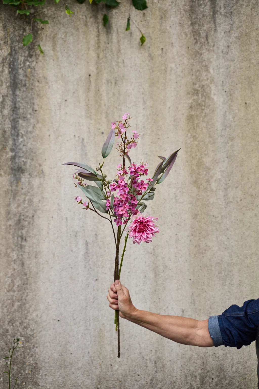 Mini Orkide gren 52cm