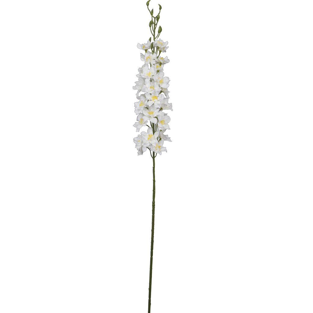 Ridderspore hvid h 95 cm
