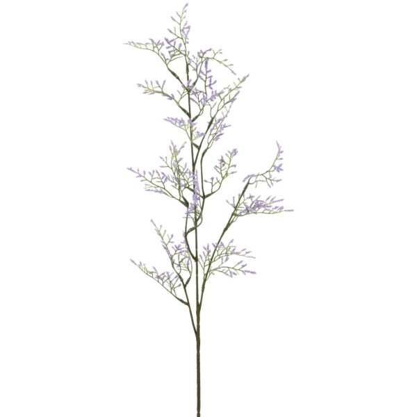 Limonium gren lys lilla h 83cm