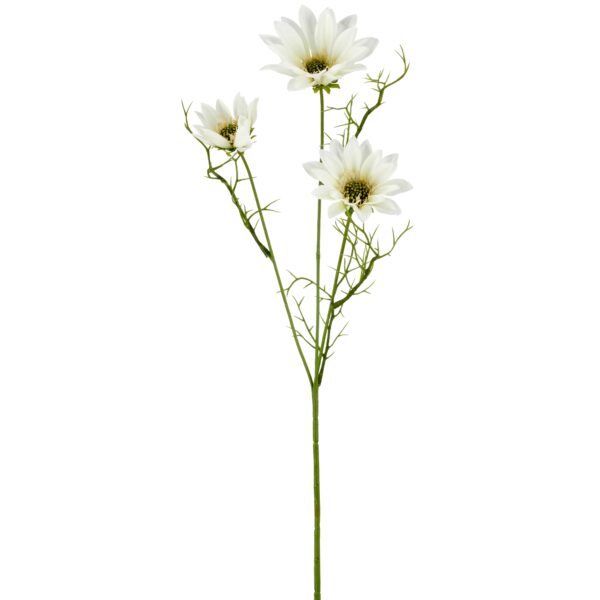 Daisy marguerit hvid h 63cm