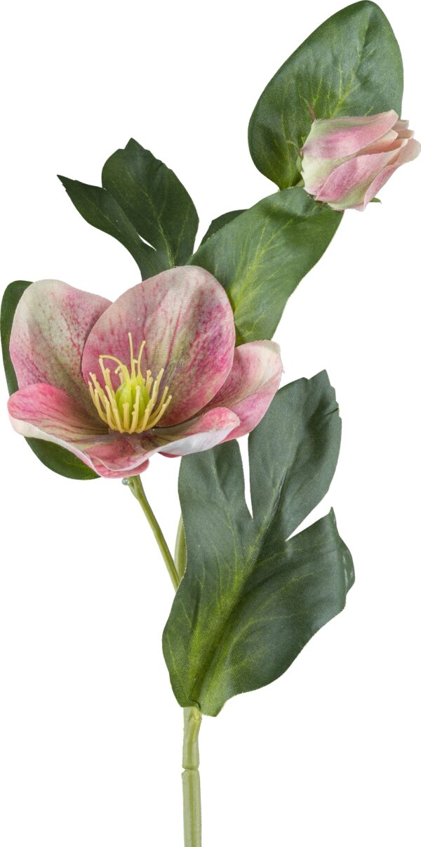 Julerose rosa h 36 cm