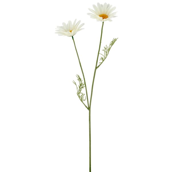 Daisy marguerit hvid h 57cm