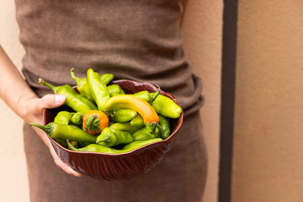 Skål Veggie M