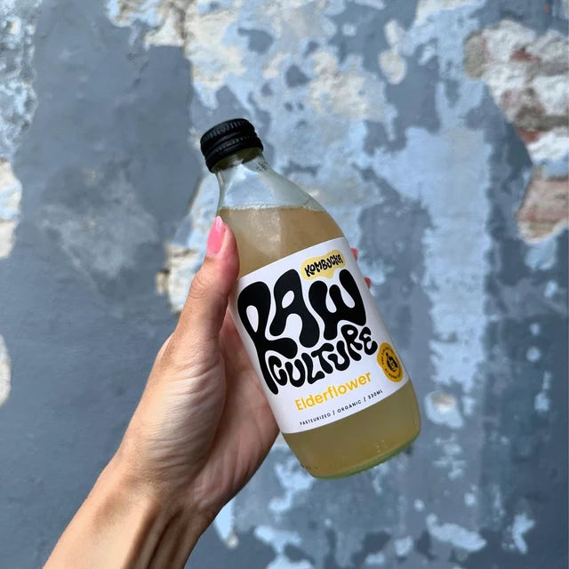 Kombucha Hyldeblomst Økologisk
