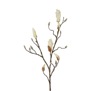 Magnolia gren hvid h 88 cm