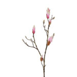 Magnolia gren rosa h 88 cm