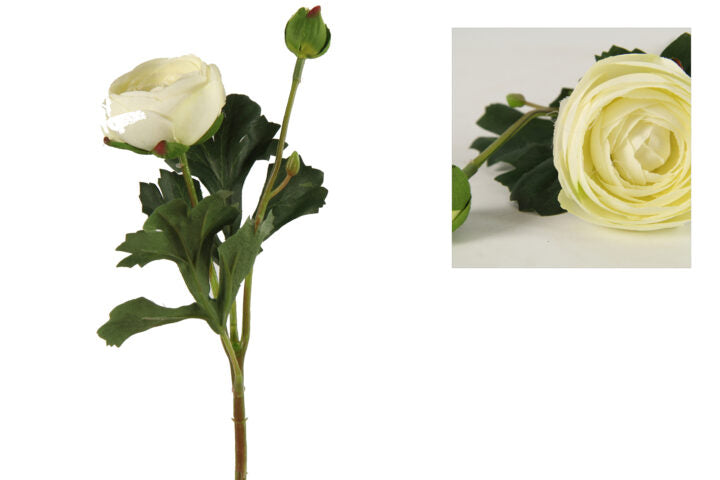 Ranunkel hvid h 34 cm