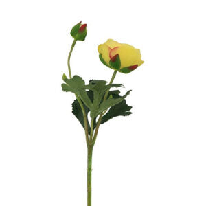 Ranunkel gul h 34 cm