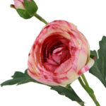 Ranunkel rosa h 34 cm
