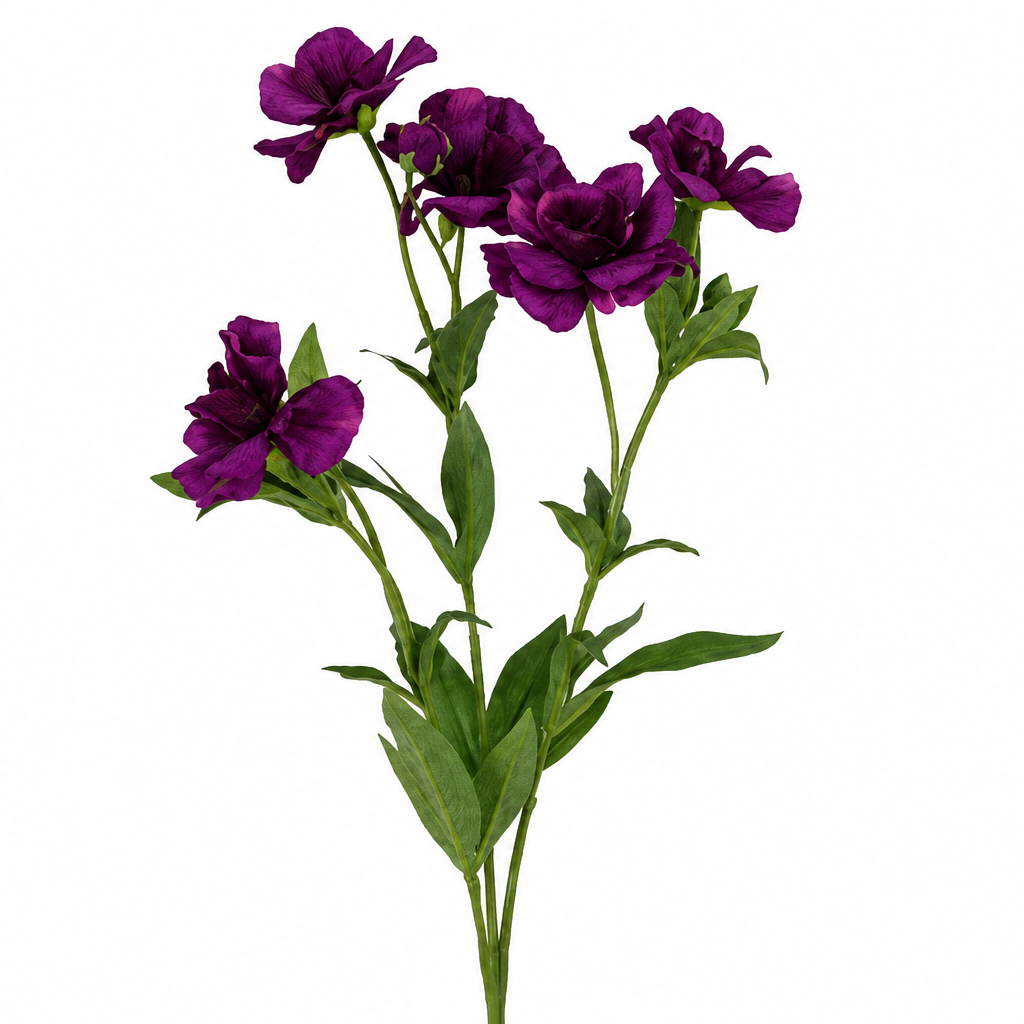 Anemone purple h 74 cm