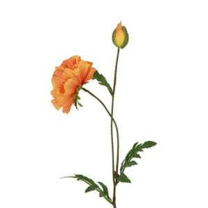 Valmue orange h 64 cm