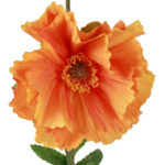 Valmue orange h 64 cm