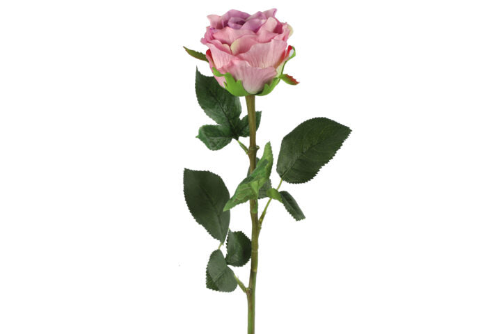 Rose lilla H 70 cm