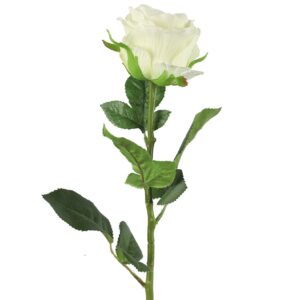 Rose hvid h 70 cm