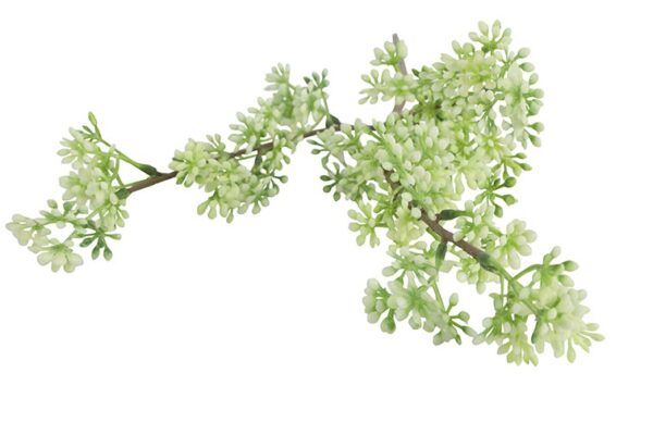 Kirsebærgren hvid h 65 cm