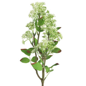 Kirsebær gren hvid h 58 cm