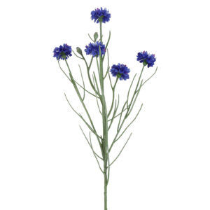 Kornblomst buket blå h 66 cm