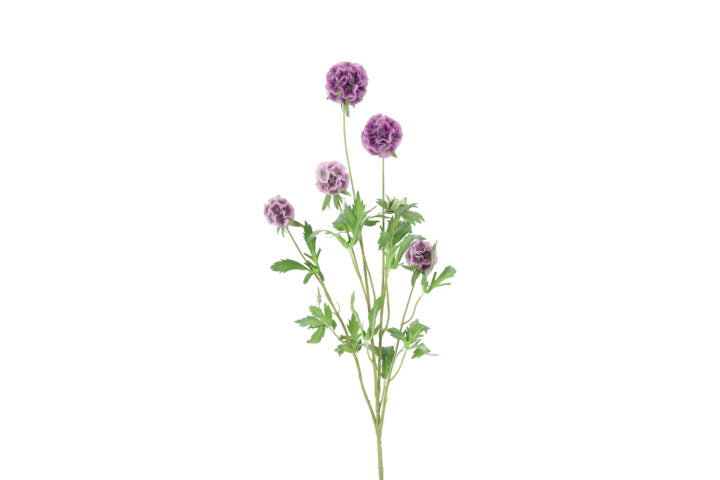 Combretocarpus buket purple h 97 cm