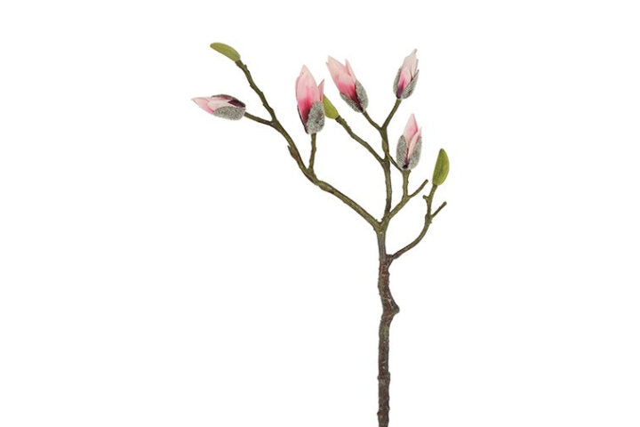Magnolia rosa h 73 cm