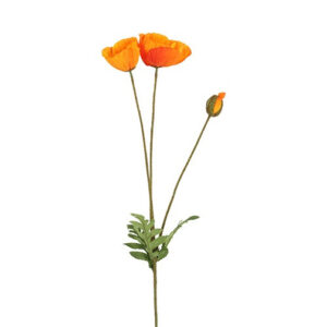 Valmue orange h 95 cm