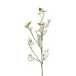 Cornus gren rosa/grøn h 92 cm