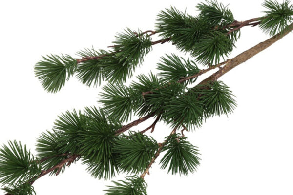 Ceder gran grøn h 106 cm