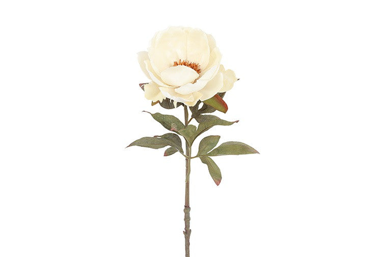 Peony creme h 56 cm