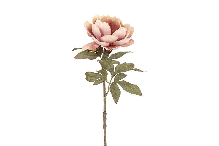 Peony lys rosa h 56 cm