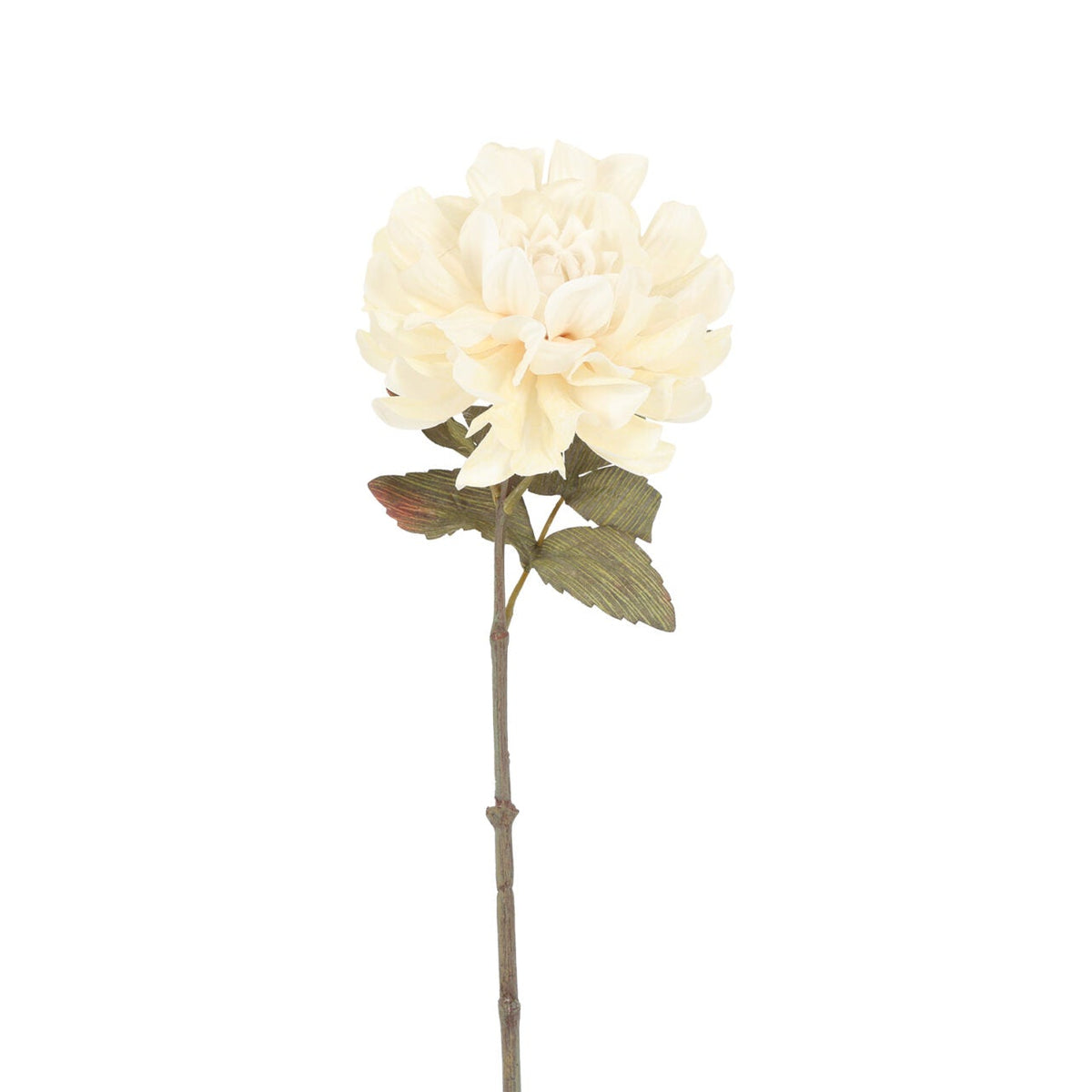 Dahlia lys creme h 57 cm