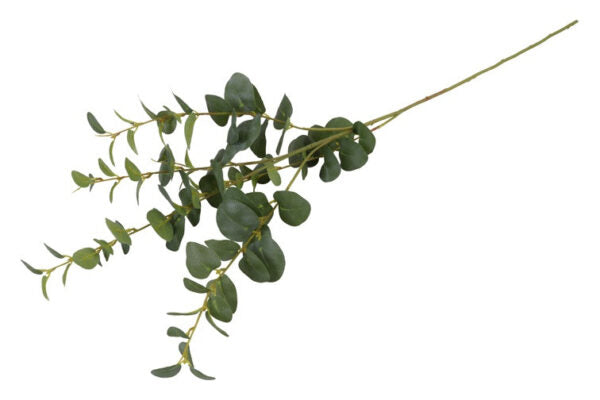 Eucalyptus grøn h 94 cm