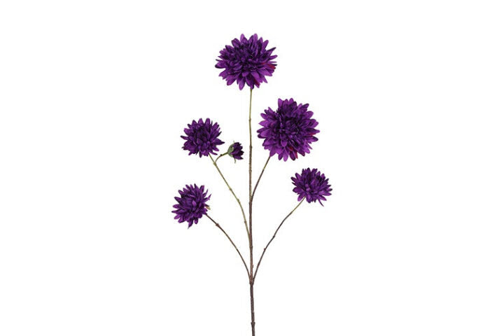 Dahlia purple h 48 cm