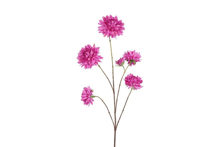 Dahlia pink h 48 cm